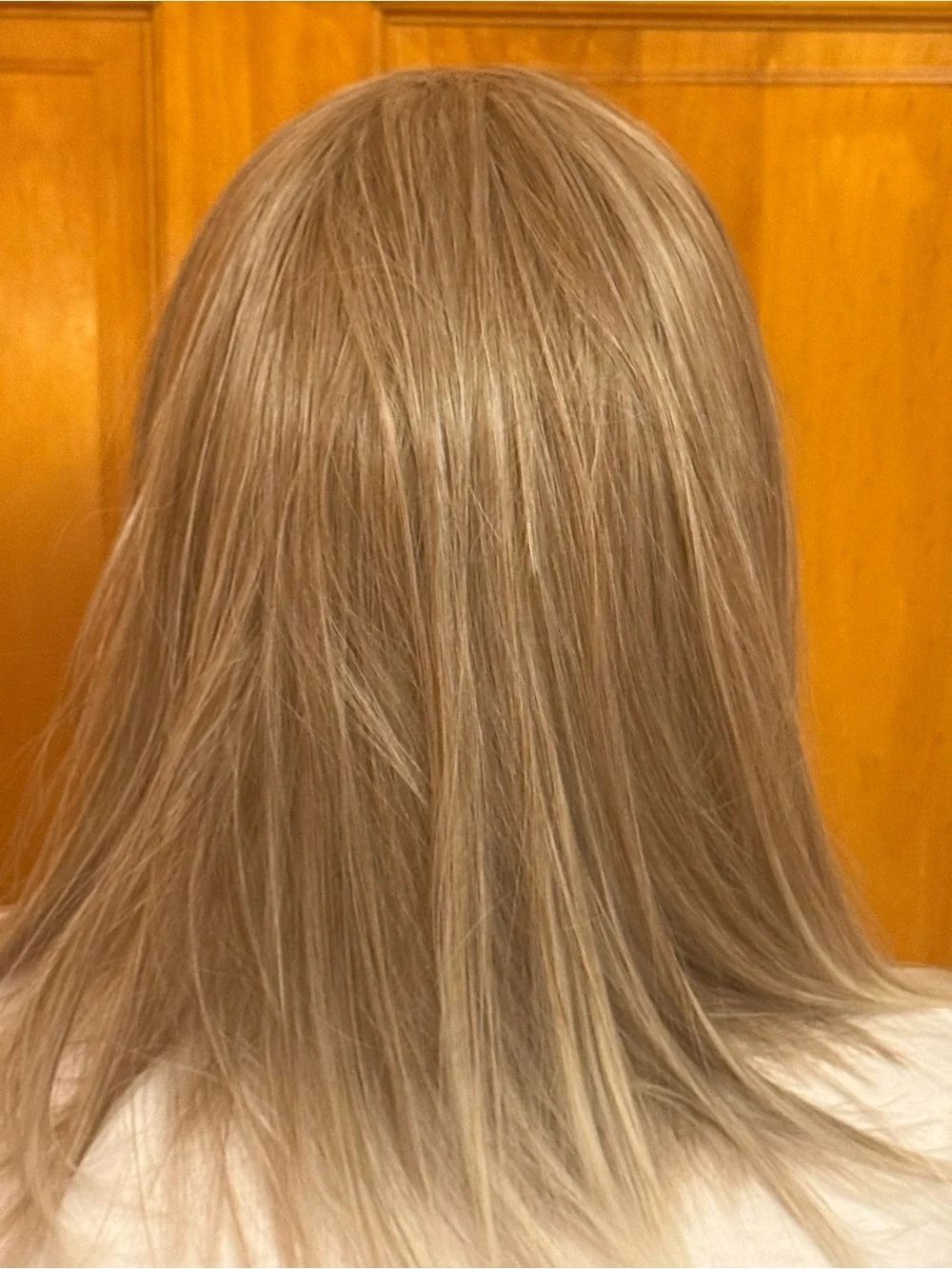 Lace Front Layered Blond/Ash Blond Synthetic Straight Wig Middle Part One Size